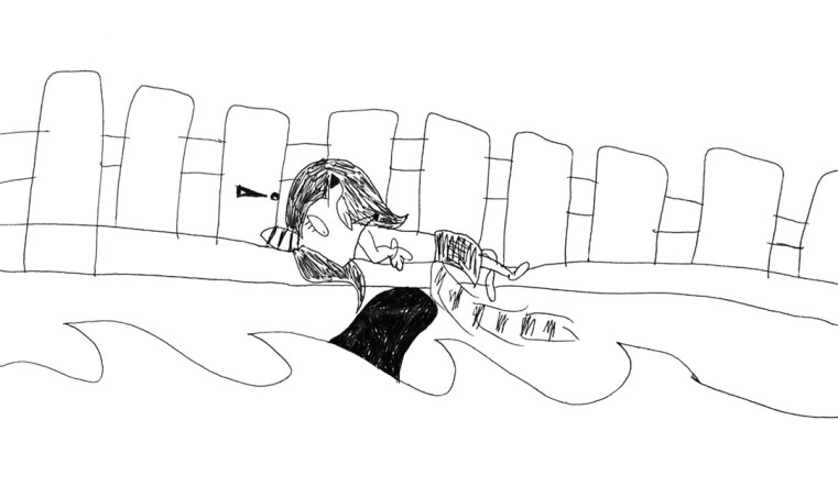 Split Rail Fence with Shark Fin_small