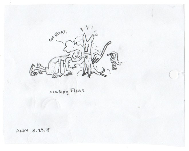 Andy_052315_Olive flea comb