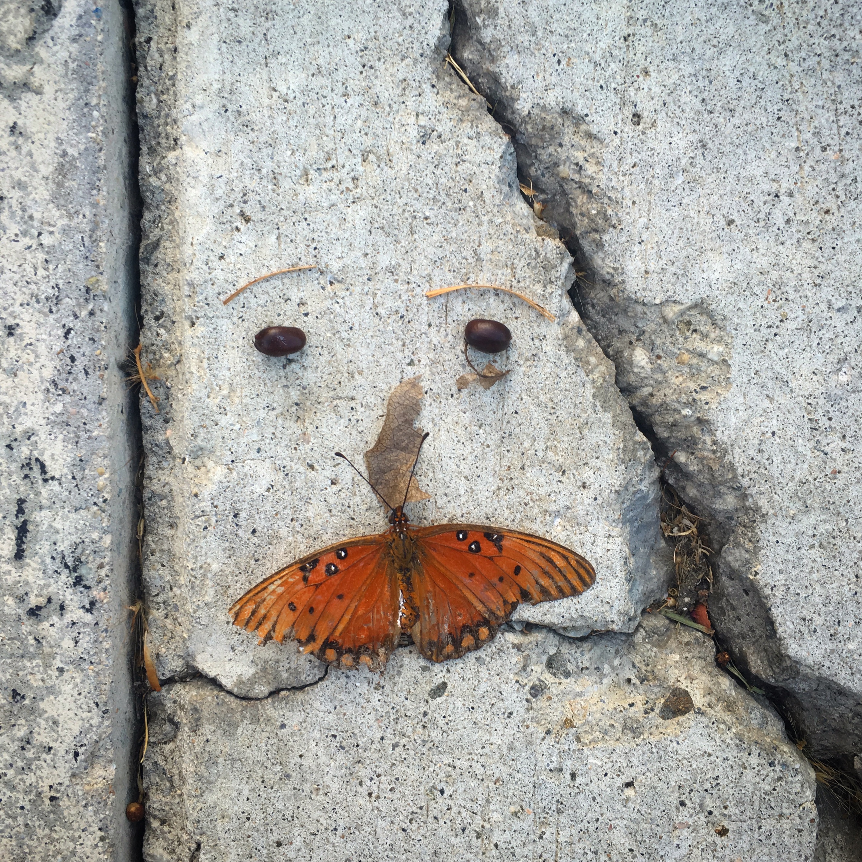 sidewalk-face_butterfly-mustache