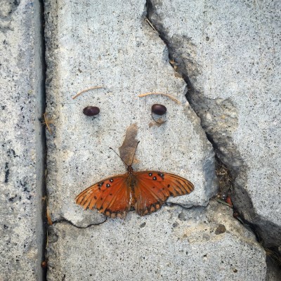 sidewalk-face_butterfly-mustache