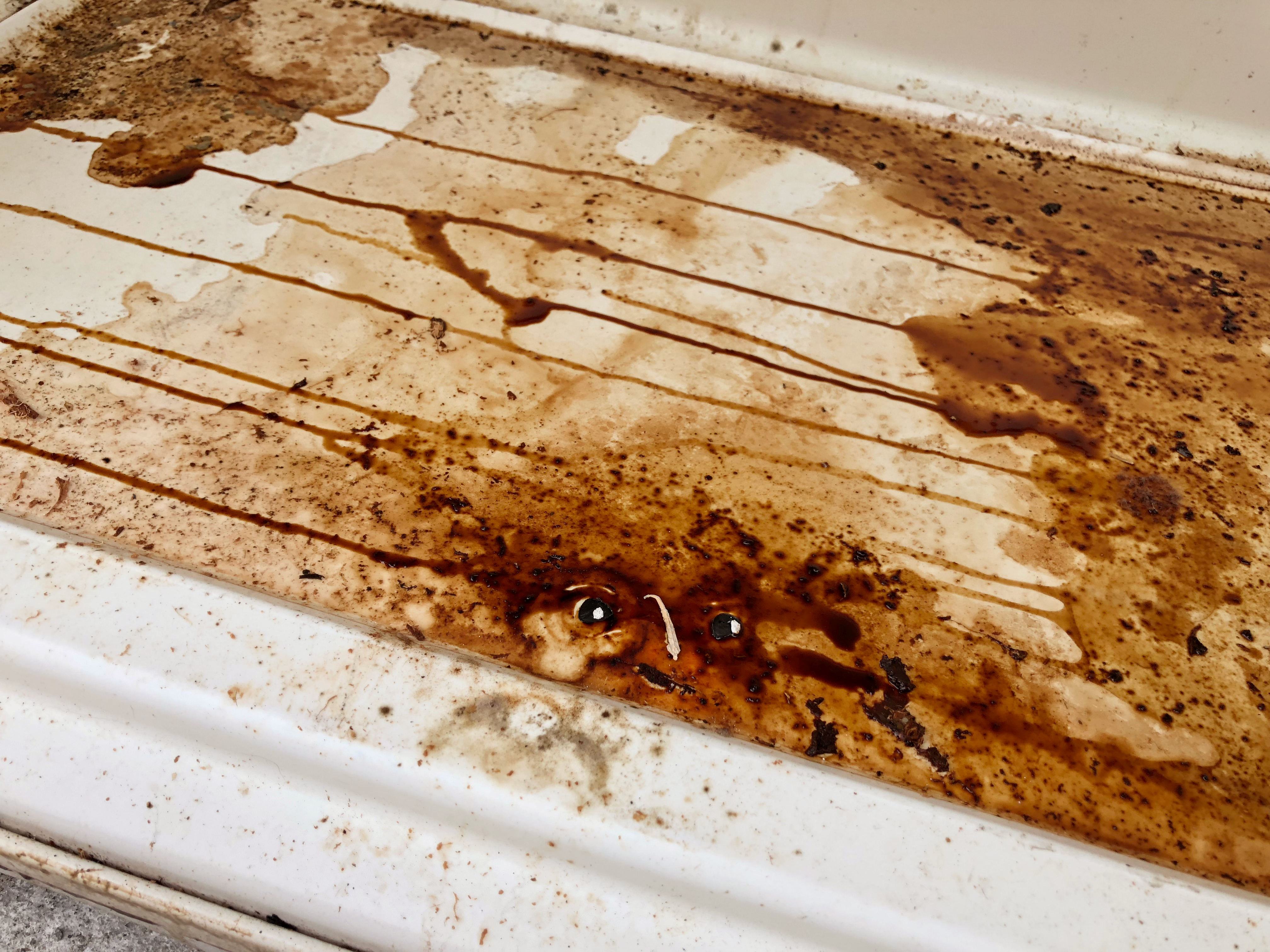 Sidewalk Face_2018_0905_2_06 cc