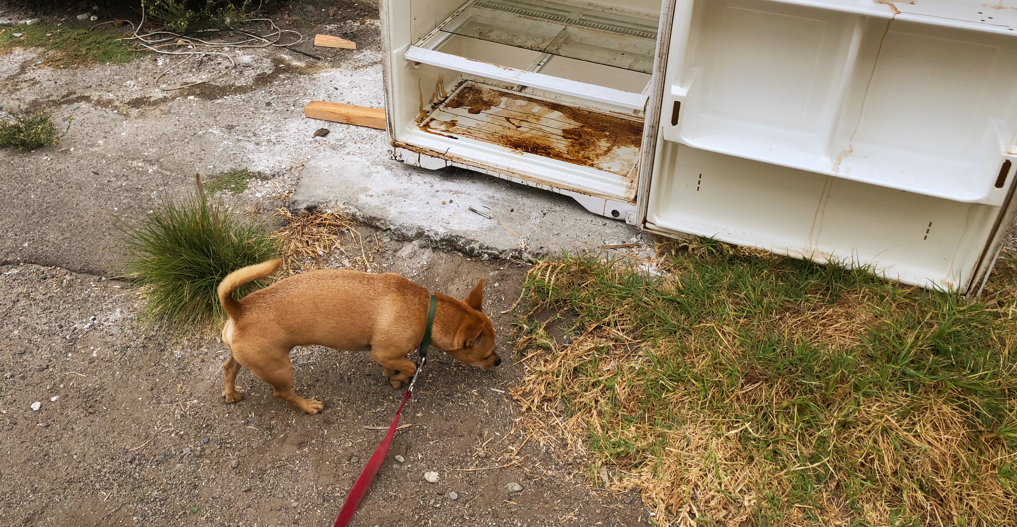 Sidewalk Face_2018_0905_2_10 cc_cropped.jpg