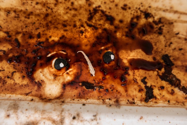 Sidewalk Face_2018_0905_2_15 cc