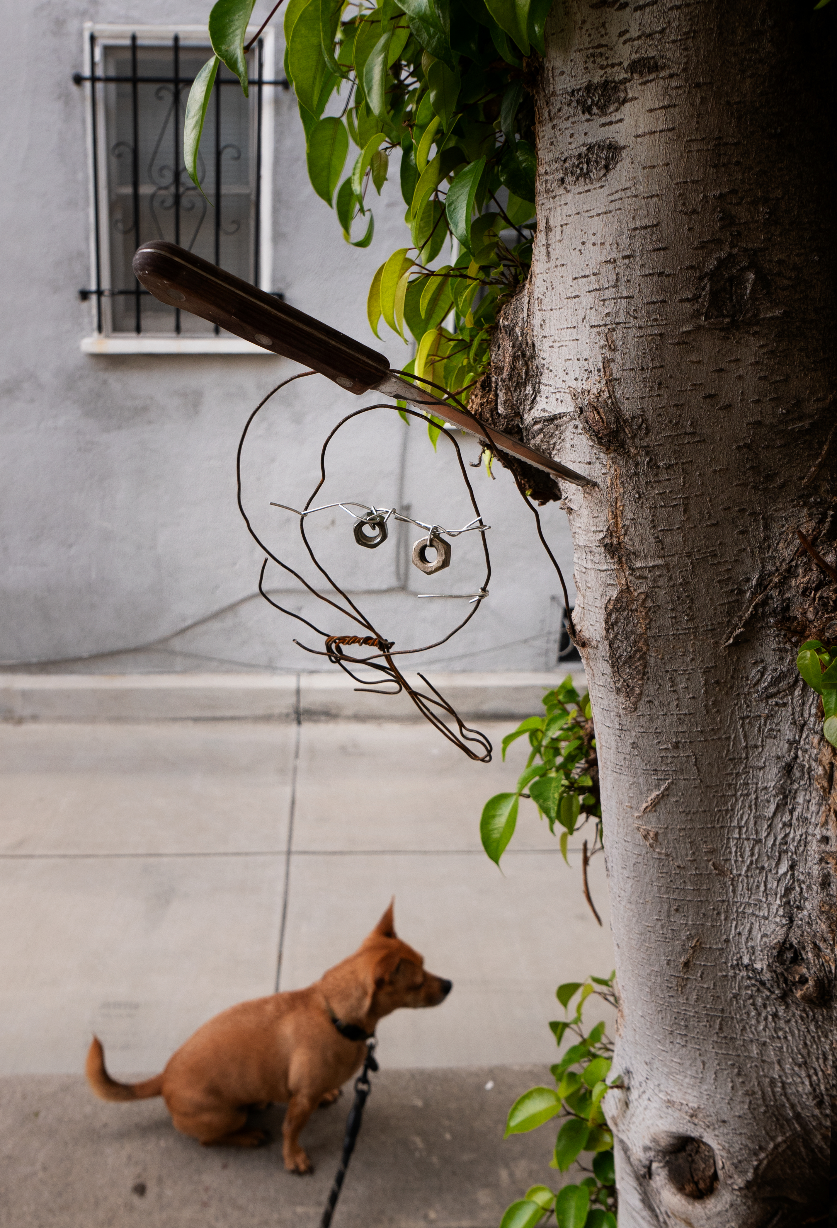 Sidewalk Face_2019_0506_1_08 cc