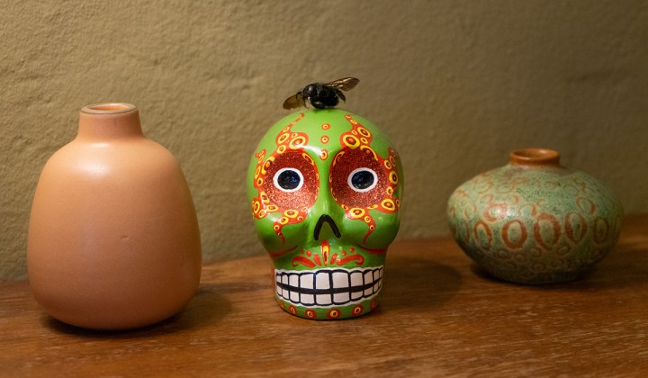 Silver Lining Fail and Some Unexpected Good&nbsp;Advice