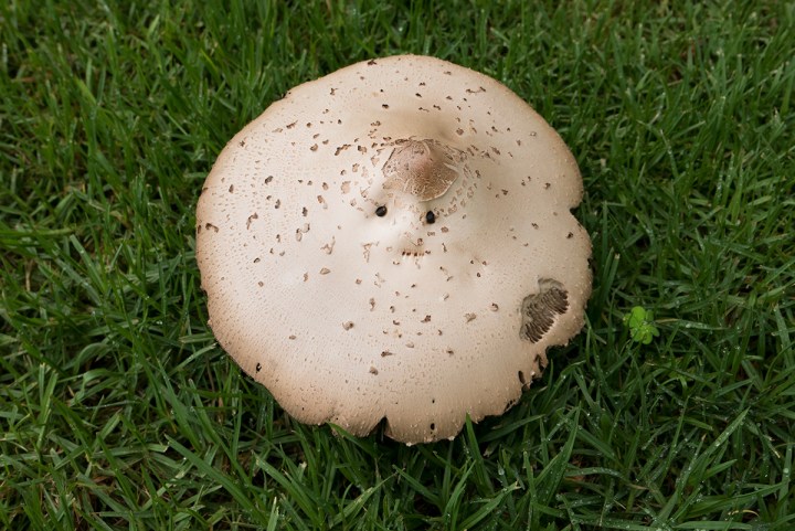 There is no being an artist. There is doing&nbsp;art.