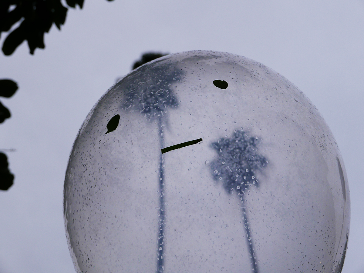 Sidewalk Face_1092_2016_1231_2578_cc_1200